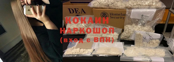 СК Кукмор
