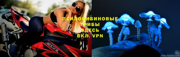 СК Кукмор