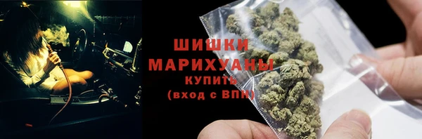 шишки Александровское