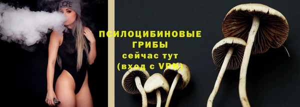 СК Кукмор