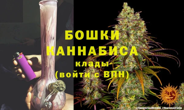 СК Кукмор
