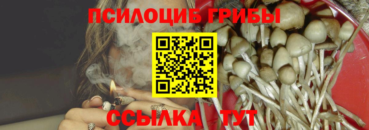 Псилоцибиновые грибы Magic Shrooms Воронеж