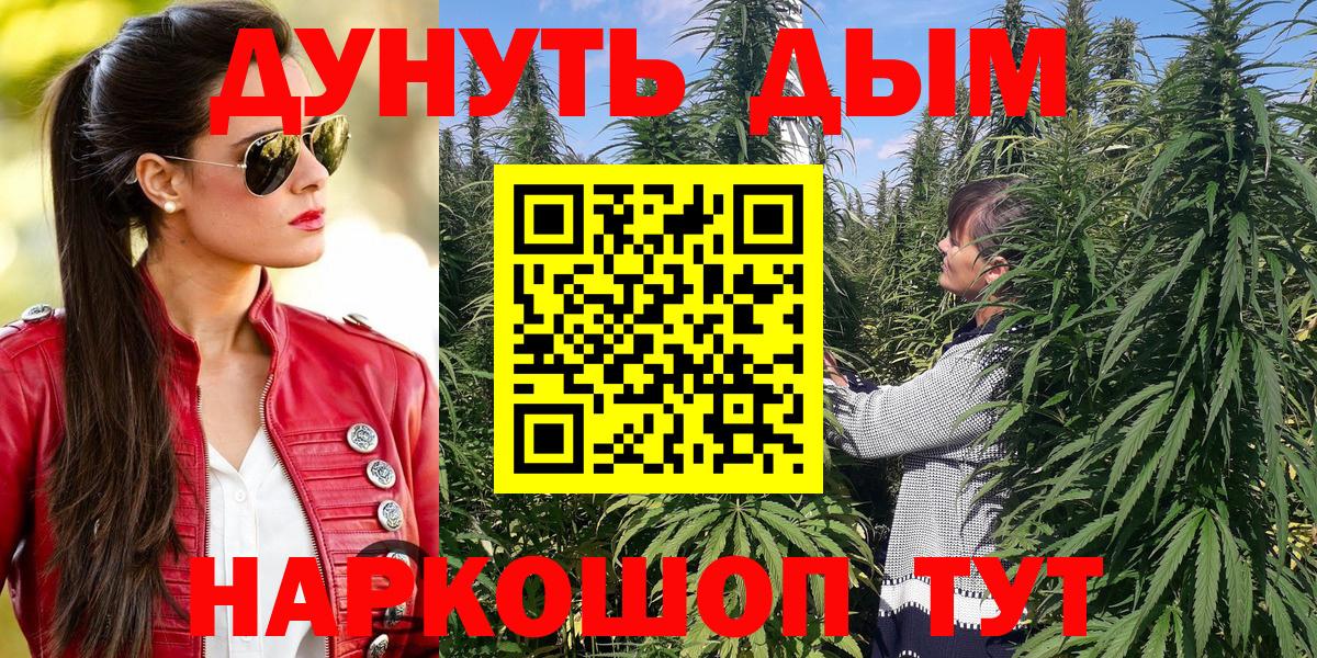 Конопля сатива Воронеж